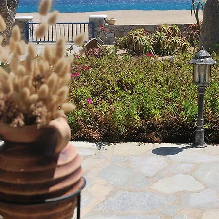 وأجنحة صن رايز فندق